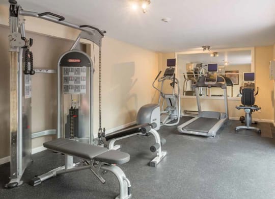 a gym with weights and cardio equipment in a home gym at Quartz Creek, Mountlake Terrace