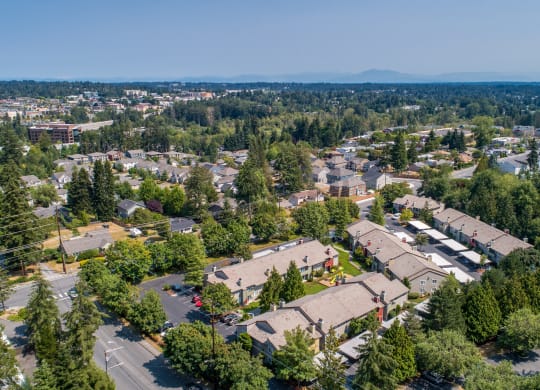 an aerial view of a neighborhood with houses and trees at Quartz Creek, Mountlake Terrace