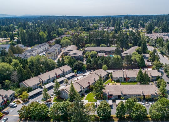 an aerial view of a neighborhood of houses and trees at Quartz Creek, Mountlake Terrace, Washington