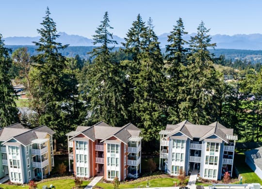 an aerial view of a row of houses with trees and mountains in the background at Woodcreek, Poulsbo, WA 98370