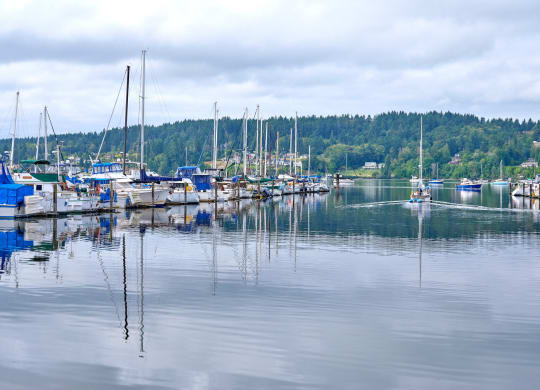 a marina filled with boats on a lake at Woodcreek, Poulsbo