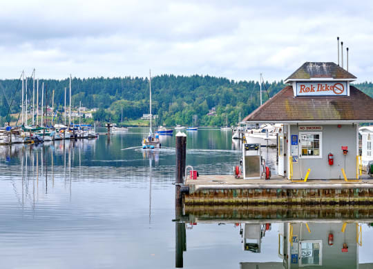 a dock on the water with boats in a marina at Woodcreek, Poulsbo Washington