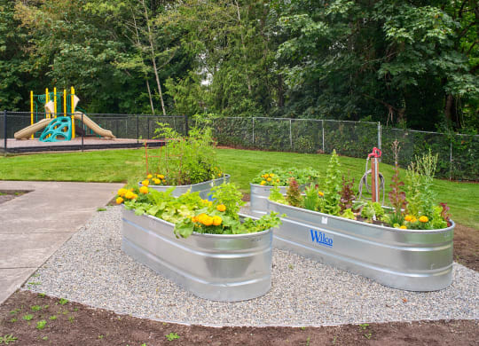 three stainless steel containers filled with flowers in front of a playground at Woodcreek, Washington