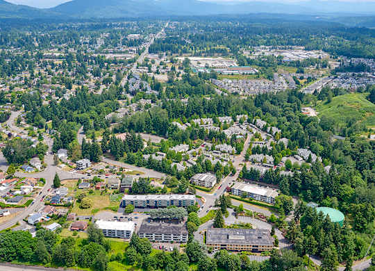 View of Peak 88 from above, surrounded by trees with mountains in the distance.