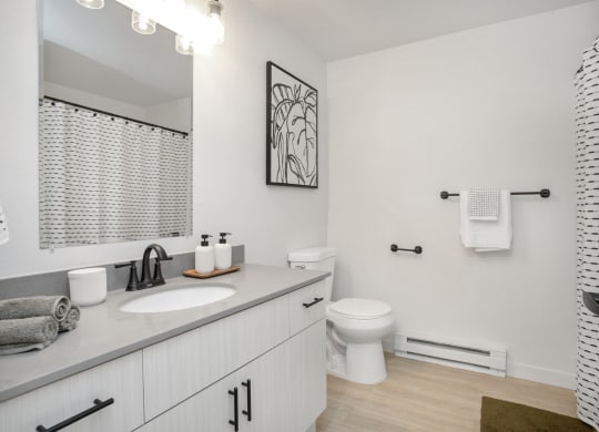 a bathroom with a sink and a toilet and a mirror at Brix, Walla Walla, WA, 99362