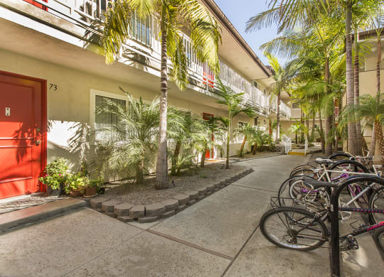 Pacific Sands paved walkways with bike racks filled with bikes and tropical landscaping at Pacific Sands, San Diego, CA