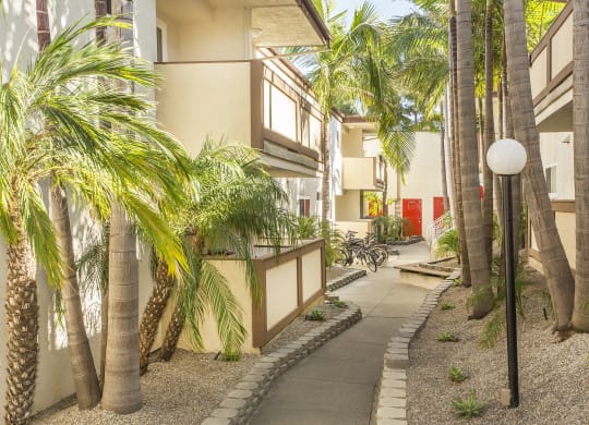Pacific Sands walkway with tropical landscaping at Pacific Sands, San Diego, CA, 92117