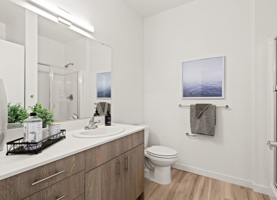 a bathroom with a large mirror and a toilet at The Duo, Washington, 98466