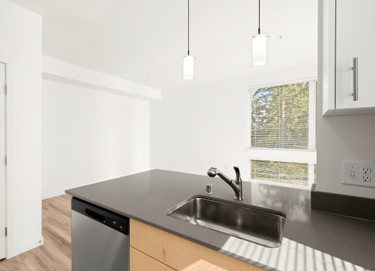 a kitchen with a sink and a window at The Duo, University Place, 98466
