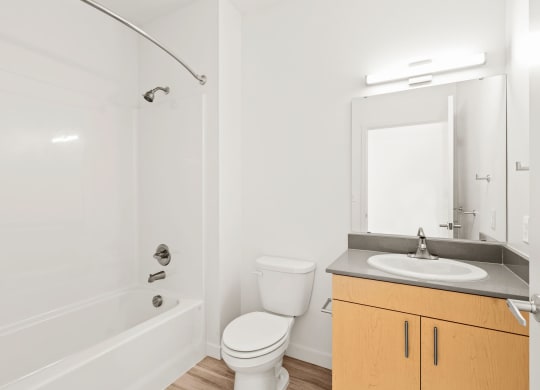 a bathroom with a sink toilet and a bath tub at The Duo, University Place, 98466  