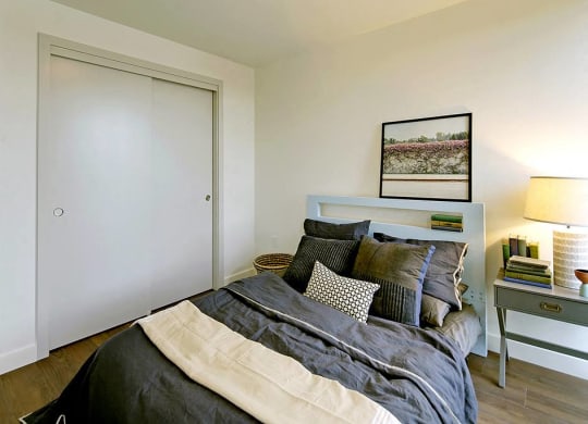 Large bedroom with large double closet doors. Bedroom can fit a queen or king sized bed.at 19th & Mercer, Seattle