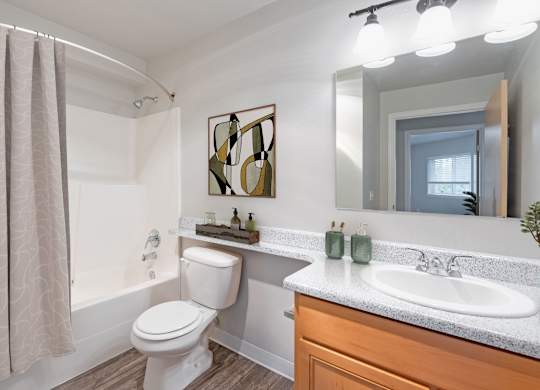A bathroom with a white toilet, a sink, and a mirror.