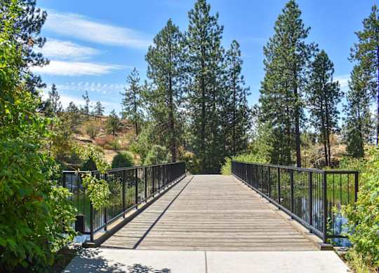 A wooden bridge with railings on both sides, surrounded by trees and a clear blue sky.