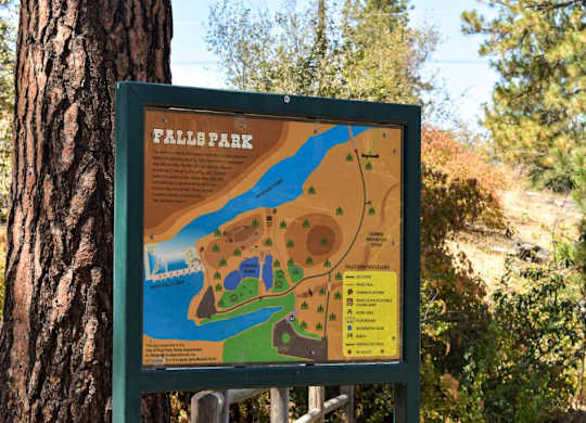 A sign for Fall Park is mounted on a post next to a tree.
