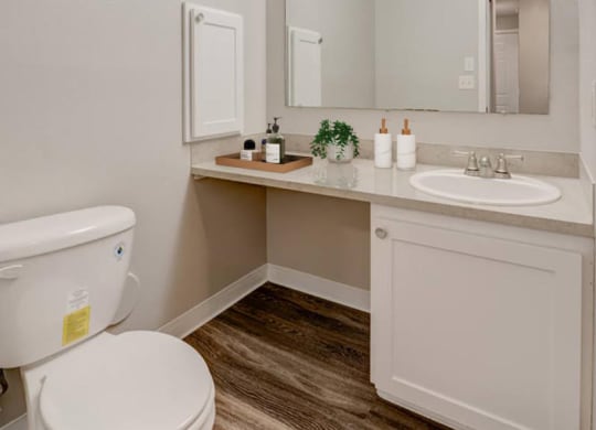A bathroom with wood-like flooring, a vanity sink, a mirror, and a toilet. at Pointe East, Fife, WA
