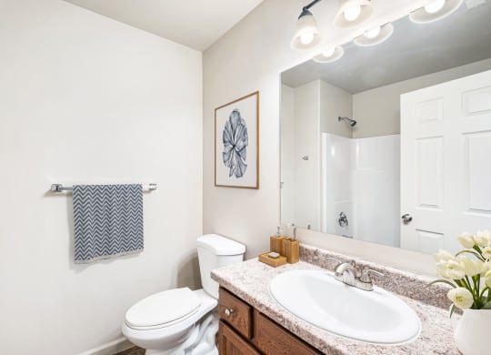 Bathroom with vanity sink, under cabinet storage, a mirror, and toilet. Staged with towels, art, and soap. at Pine Tree Park, Kennewick