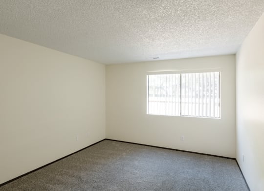 the spacious living room of an apartment with carpet and a window