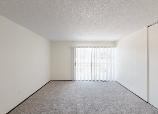 the spacious living room of our apartments offering a large window and white walls