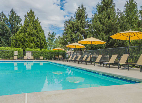 Outdoor pool with plenty of lounge chairs and yellow umbrellas.at Cedarwood, Washington