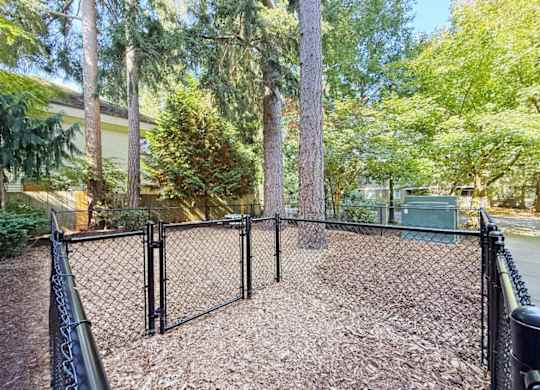 An enclosed dog park at 6Wood Flats Apartments in Lacey, WA.