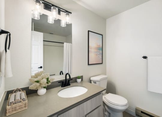 a bathroom with a sink and a toilet  at Brix, Washington, 99362