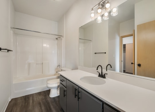 a bathroom with an oversized vanity sink, under-sink cabinet storage and a toilet and shower.at Shoreline Village, Richland, WA