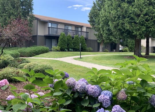 Outside paved path to buildings through well landscaped, grassy area.at Cedarwood, Wenatchee, WA
