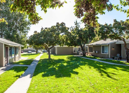 Sunny grass courtyard and pathway lined with trees outside units of building.at Park View Apartments, Wenatchee, WA