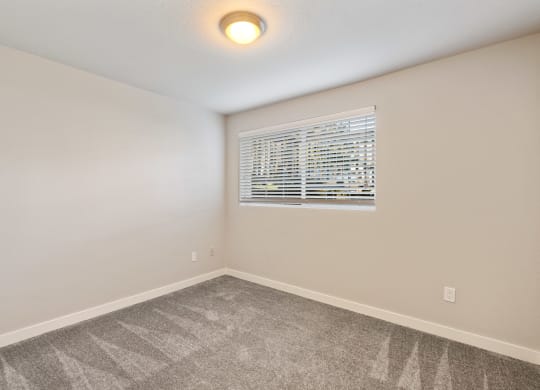an empty bedroom with a window and gray carpet