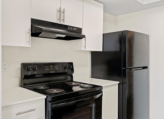 A close-up view of the kitchen with new white cabinets, an oven and stovetop, and a full-size fridge. at Pointe East, Washington, 98424