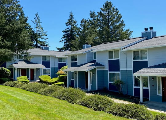 Townhome exterior with blue accents, well-manicured grass, green hedges, patios, and large trees behind. at Hawks Prairie, Olympia, Washington