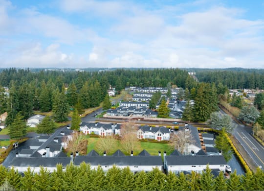 an aerial view of the Hawks Prairie neighborhood of houses and trees
