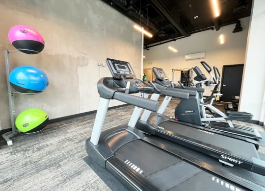 a row of treadmills in a gym with a colorful ball on the wall at The Duo, Washington, 98466