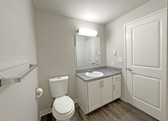 Bathroom with wood-like flooring, vanity sink, gray countertop, white cabinets, large mirror, toilet, and towel rack.at Quilceda Gardens, Marysville, Washington