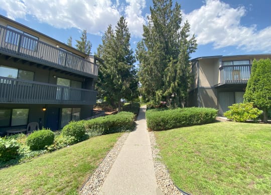 a walkway between two apartment buildings with trees in the background at Cedarwood, Renton Washington