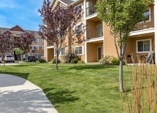 our apartments have a spacious courtyard with grass and trees