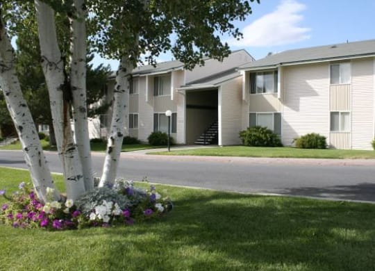 Kirkwood Meadows Apartments exterior, paved path, manicured lawn, Himalayan birch tree surrounded by flowers.at Kirkwood Meadows, Pocatello, ID