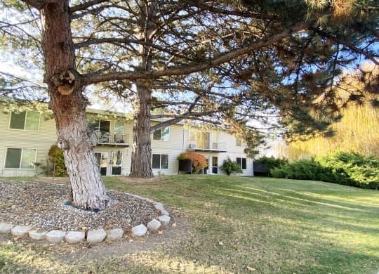 Community landscape with two large trees on the left, green grass, bushes, and apartments in the background.at Laurel Park, Idaho, 83301