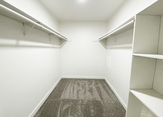 Large walk-in closet with top shelves, closet rod, wall shelving, gray carpet, and white walls.at Laurel Park, Twin Falls, ID 83301