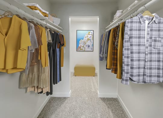 Huge walk-in closet, carpeted, with shelving, closet rod, staged with clothing.at Laurel Park, Twin Falls, Idaho