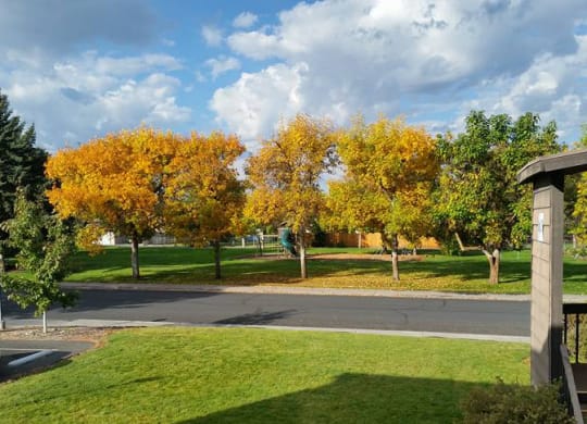 View of park across a paved street lined with trees with a playground surrounded by grass in the background.at The Lakes Apartments, Moses Lake, 98837