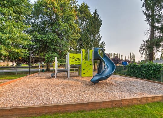 A large playground with a blue slide and a small green rock climbing wall. Surrounded by green grass, trees, and landscaping. at Pointe East, Fife, WA