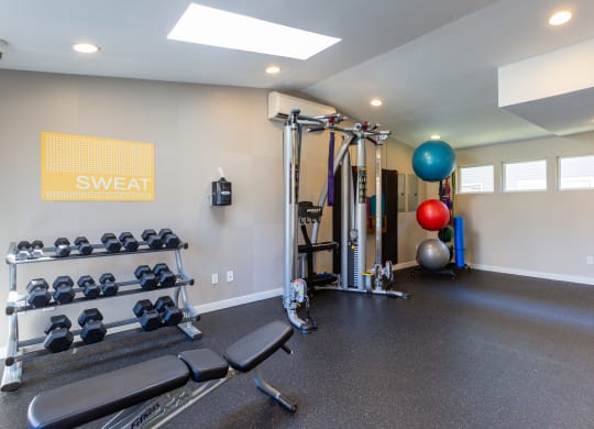 a gym with weights and a yoga ball on the floor and a wall of windows