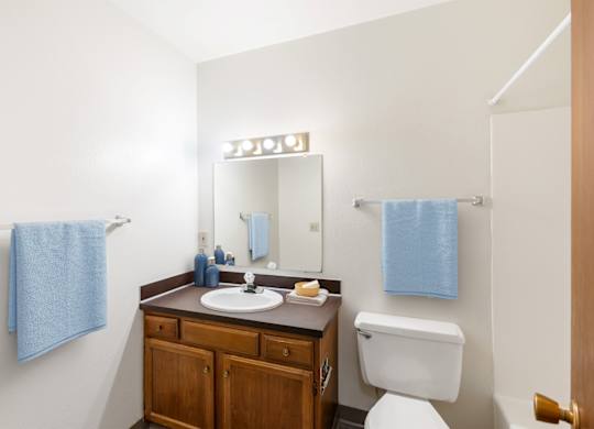 a bathroom with a toilet sink and a mirror  at Rock Creek, Billings, MT 59102