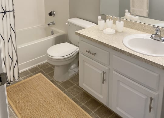 Full bathroom with vanity sink, under sink storage, toilet. Staged with a bath rug, hand soap, and patterned shower curtain.at Sitka Heights, Washington, 98424