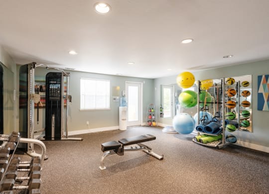 a home gym with a lot of weights and cardio equipment