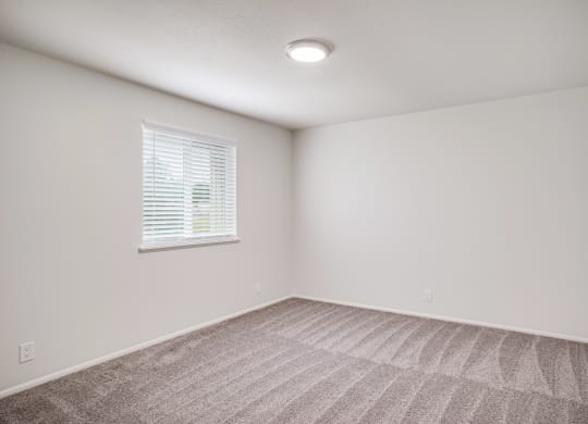 an empty room with carpet and a window
