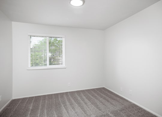 an empty room with carpet and a window