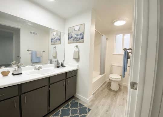 Full bathroom with extended countertop, large mirror, under-sink storage, and privacy wall leading to shower and toilet.at Summit, Pocatello Idaho