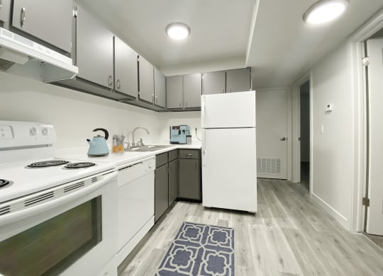 L-shaped kitchen with oven, stove top, range hood, dishwasher, sink, and full-size fridge from left to right.at Summit, Pocatello